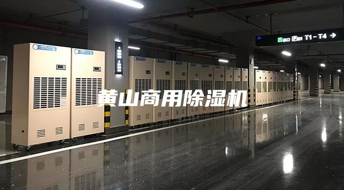 黃山商用除濕機