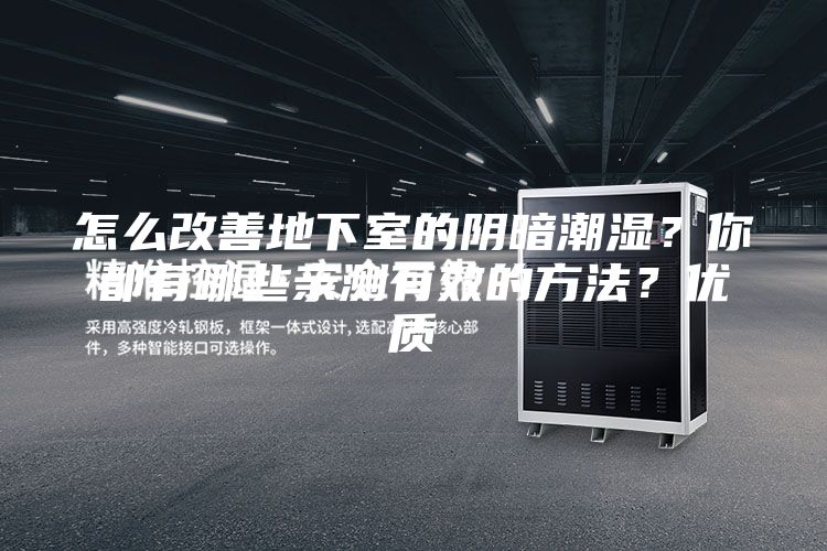 怎么改善地下室的陰暗潮濕？你都有哪些親測(cè)有效的方法？?jī)?yōu)質(zhì)