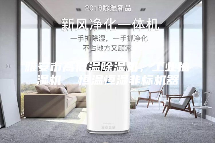 雅安市高低溫除濕機，工業抽濕機  恒溫恒濕非標機器
