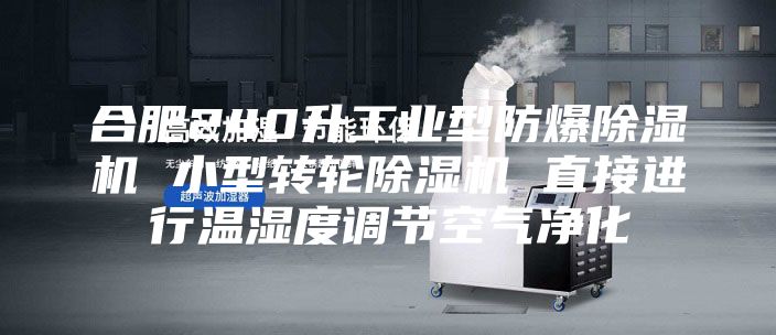 合肥240升工業型防爆除濕機 小型轉輪除濕機 直接進行溫濕度調節空氣凈化