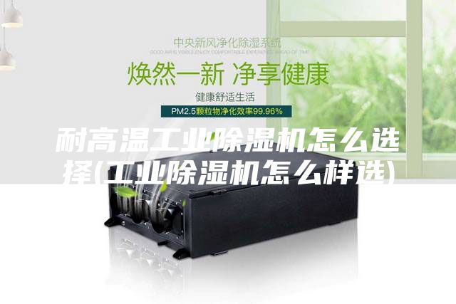 耐高溫工業除濕機怎么選擇(工業除濕機怎么樣選)