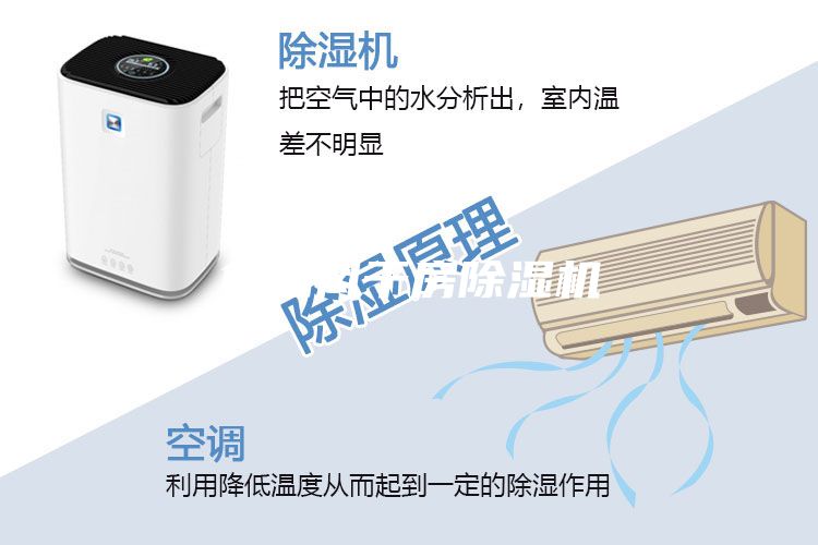 食品風干房除濕機