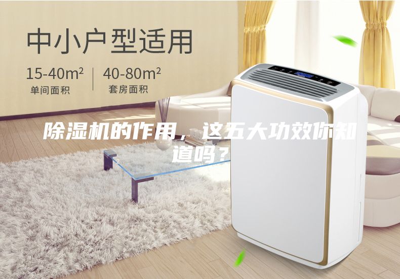 除濕機的作用，這五大功效你知道嗎？
