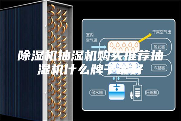 除濕機(jī)抽濕機(jī)購(gòu)買(mǎi)推薦抽濕機(jī)什么牌子最好