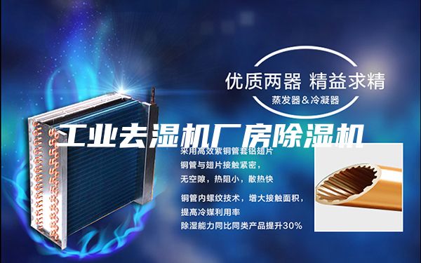 工業(yè)去濕機廠房除濕機