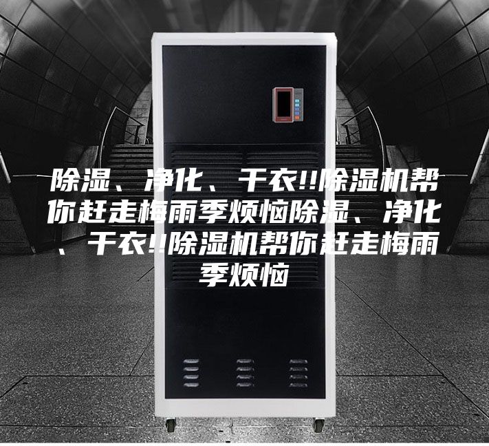 除濕、凈化、干衣!!除濕機幫你趕走梅雨季煩惱除濕、凈化、干衣!!除濕機幫你趕走梅雨季煩惱