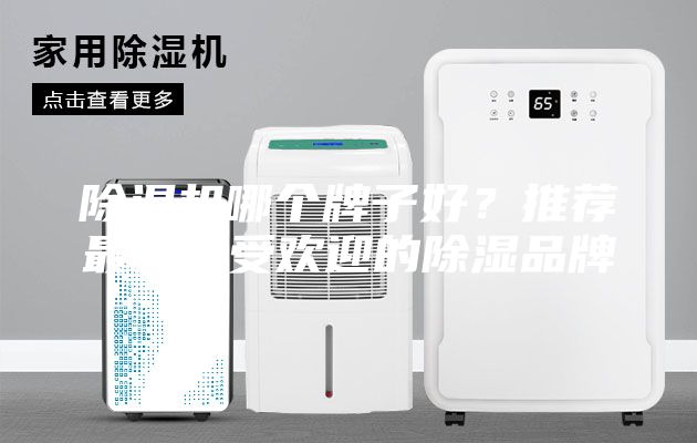 除濕機哪個牌子好？推薦最新最受歡迎的除濕品牌