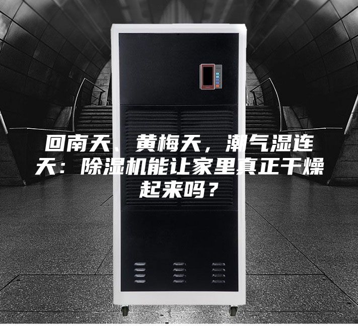 回南天、黃梅天,潮氣濕連天:除濕機能讓家里真正干燥起來嗎?