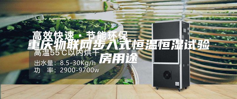 重慶物聯(lián)網(wǎng)步入式恒溫恒濕試驗房用途