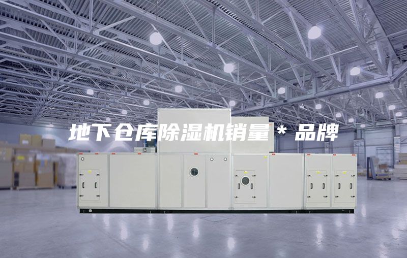 地下倉(cāng)庫(kù)除濕機(jī)銷量＊品牌
