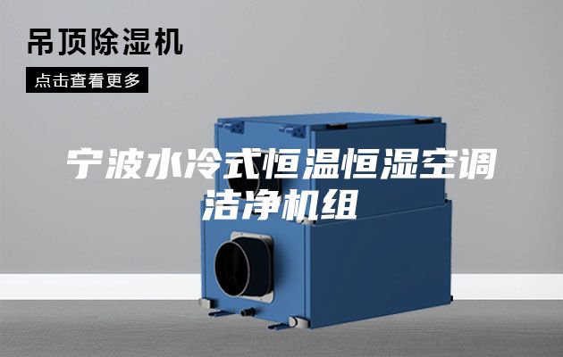 寧波水冷式恒溫恒濕空調(diào)潔凈機(jī)組