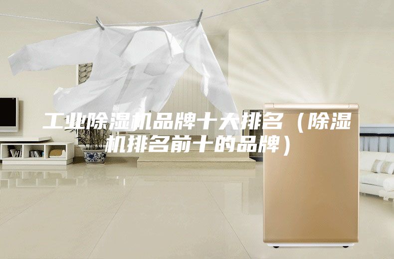 工業除濕機品牌十大排名（除濕機排名前十的品牌）