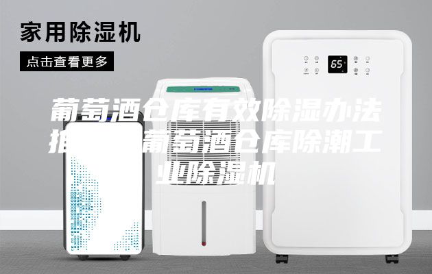 葡萄酒倉庫有效除濕辦法推薦?葡萄酒倉庫除潮工業(yè)除濕機