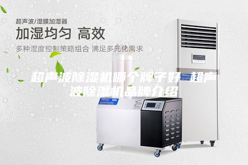 超聲波除濕機哪個牌子好 超聲波除濕機品牌介紹
