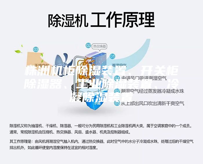 株洲機柜除濕裝置、開關柜除濕器、工業(yè)除濕裝置、冷凝除濕裝置