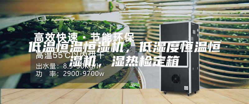 低溫恒溫恒濕機，低濕度恒溫恒濕機，濕熱檢定箱