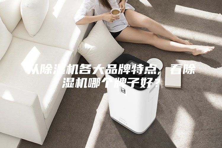 從除濕機各大品牌特點, 看除濕機哪個牌子好？