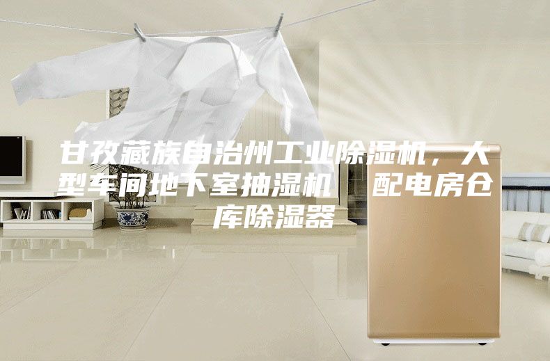 甘孜藏族自治州工業除濕機，大型車間地下室抽濕機  配電房倉庫除濕器