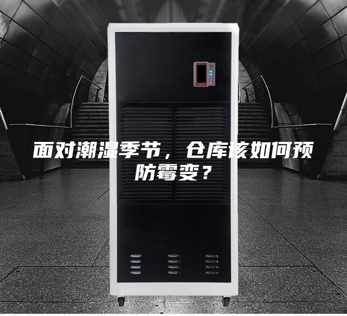 面對潮濕季節，倉庫該如何預防霉變？